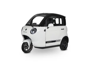 Motorower elektryczny trójkołowy zabudowany DORY acid