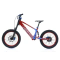 pol_pm_NAI-e-BRO-20-motocykl-elektryczny-model-2025-19399_1.png
