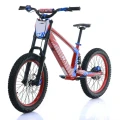 pol_pm_NAI-e-BRO-20-motocykl-elektryczny-model-2025-19399_2.png