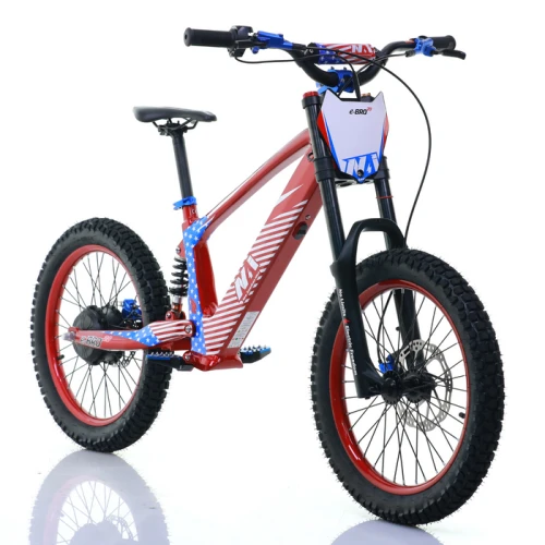 pol_pm_NAI-e-BRO-20-motocykl-elektryczny-model-2025-19399_3.png