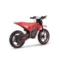 Cross elektryczny G-FORCE Junior 14/14 – kolor czerwony, ujęcie z tyłu