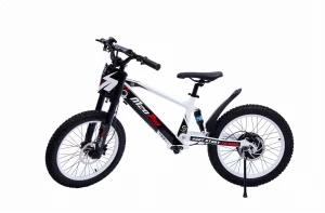 Mini cross elektryczny Polovolt M-20 PRO 750 W, koła 20"
