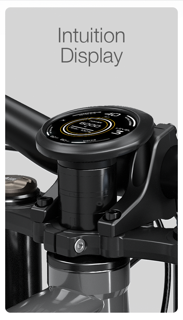 Bonnell 775 MX - wyświetlacz CYC Intuition na mostku